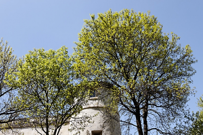 Bayonne-Avril 2012-112